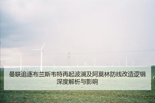 man-lian-zhui-zhu-bu-lan-si-wei-te-zai-qi-bo-lan-ji-a-mo-lin-fang-xian-gai-zao-luo-ji-shen-du-jie-xi-yu-ying-xiang-1-431.jpg